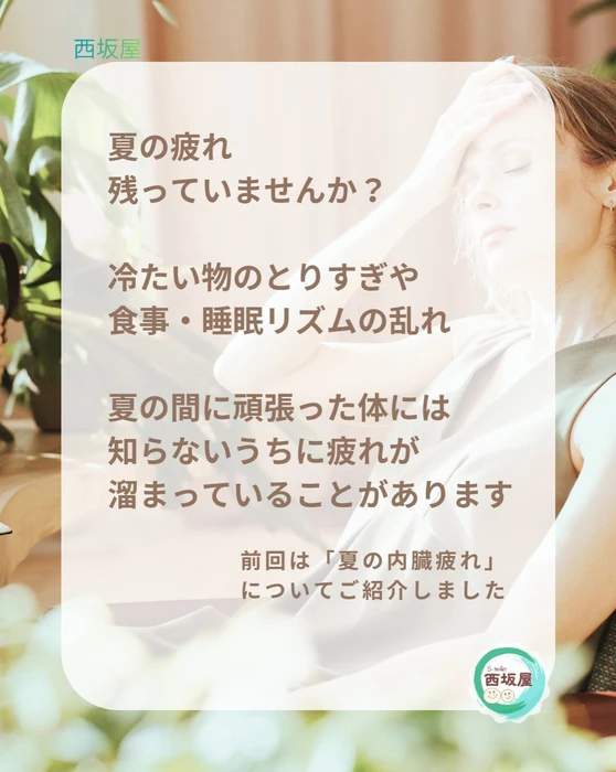 画像327